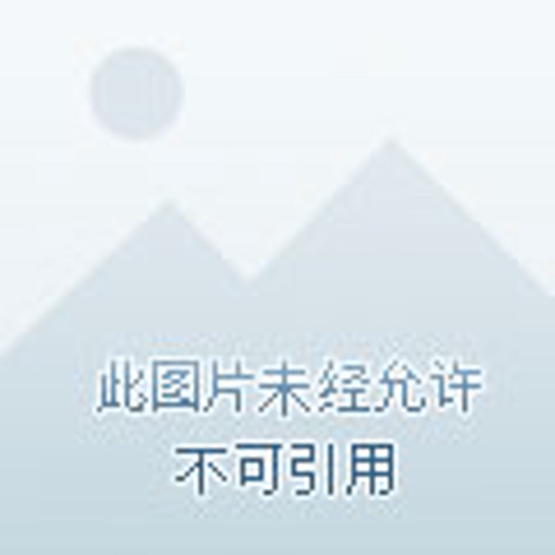 进口红酒批发:全球精选美酒与本土市场碰撞出的火花